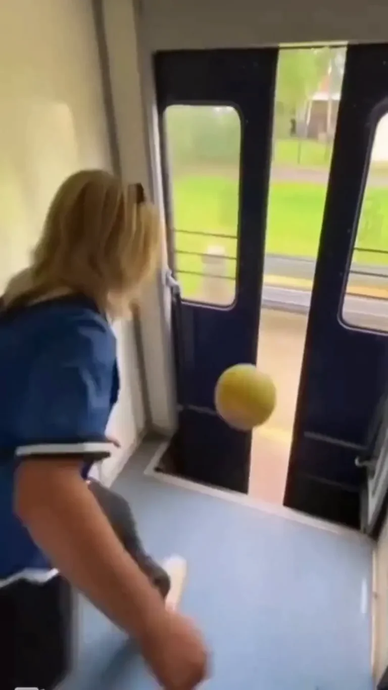 Ball Off Door Viral Video