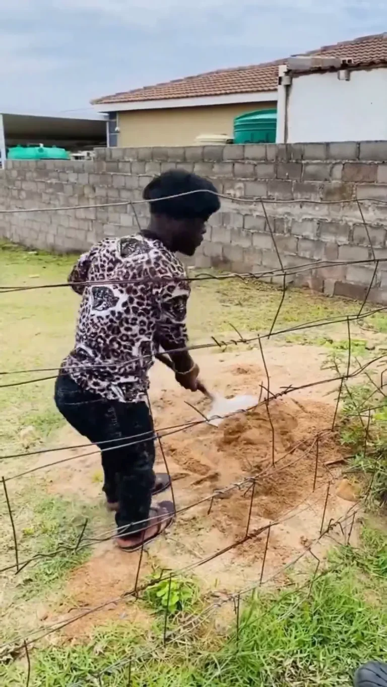 Pass Shovel Viral Video