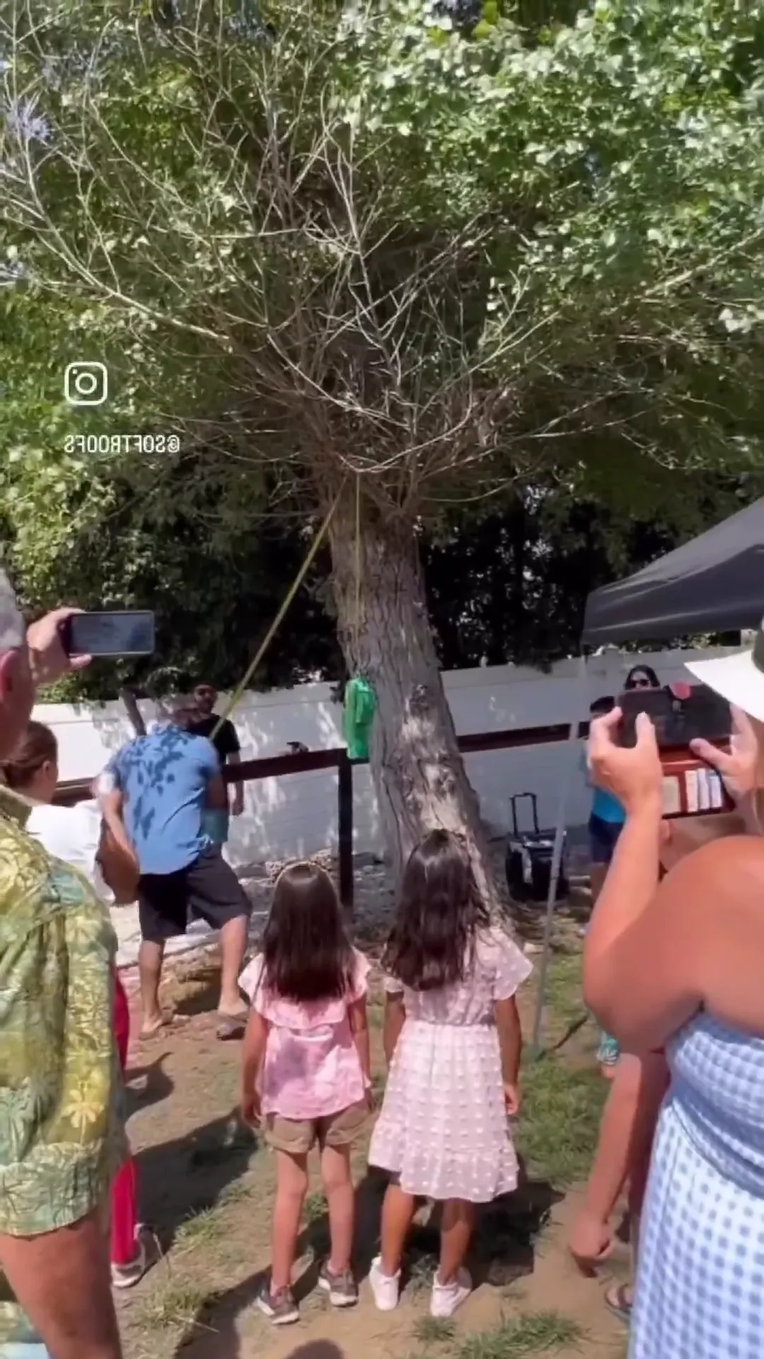 Pinata Catch Viral Video