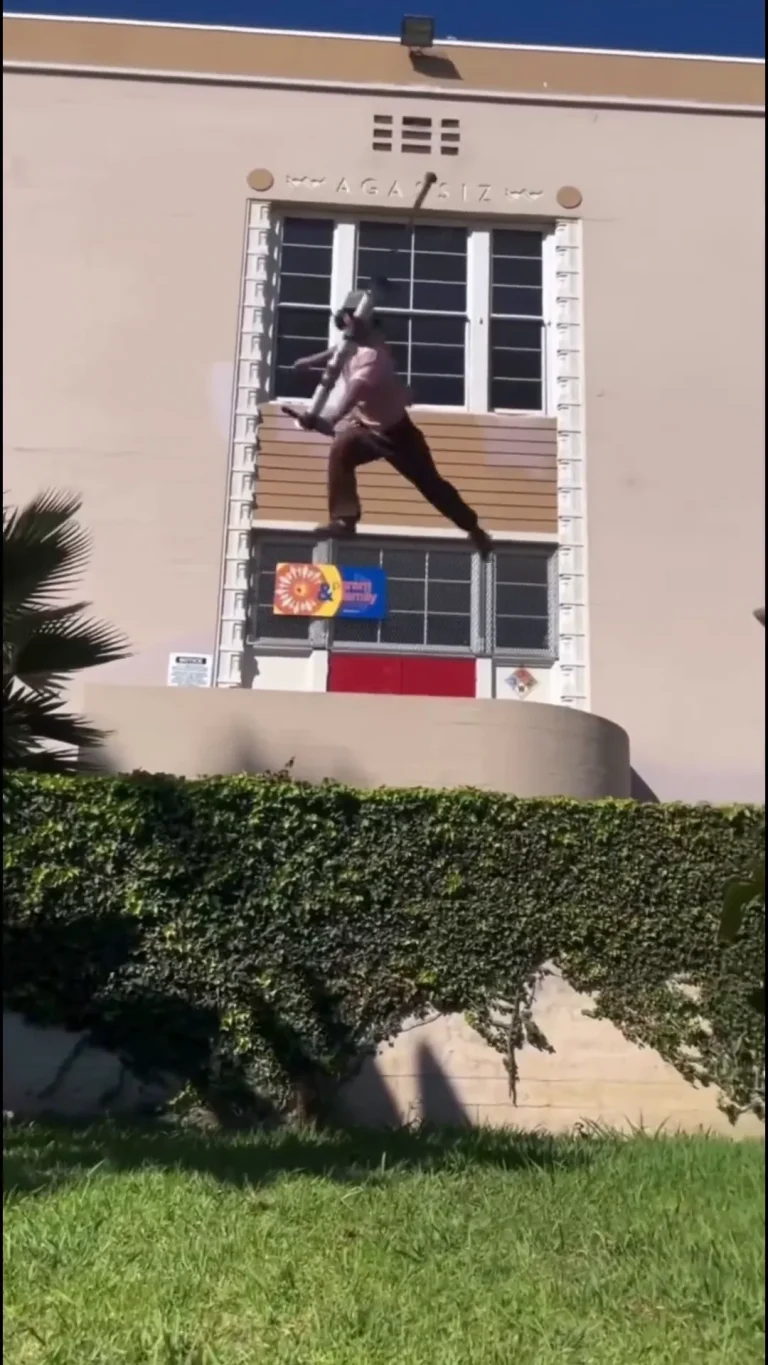 Pogo Leap Viral Video