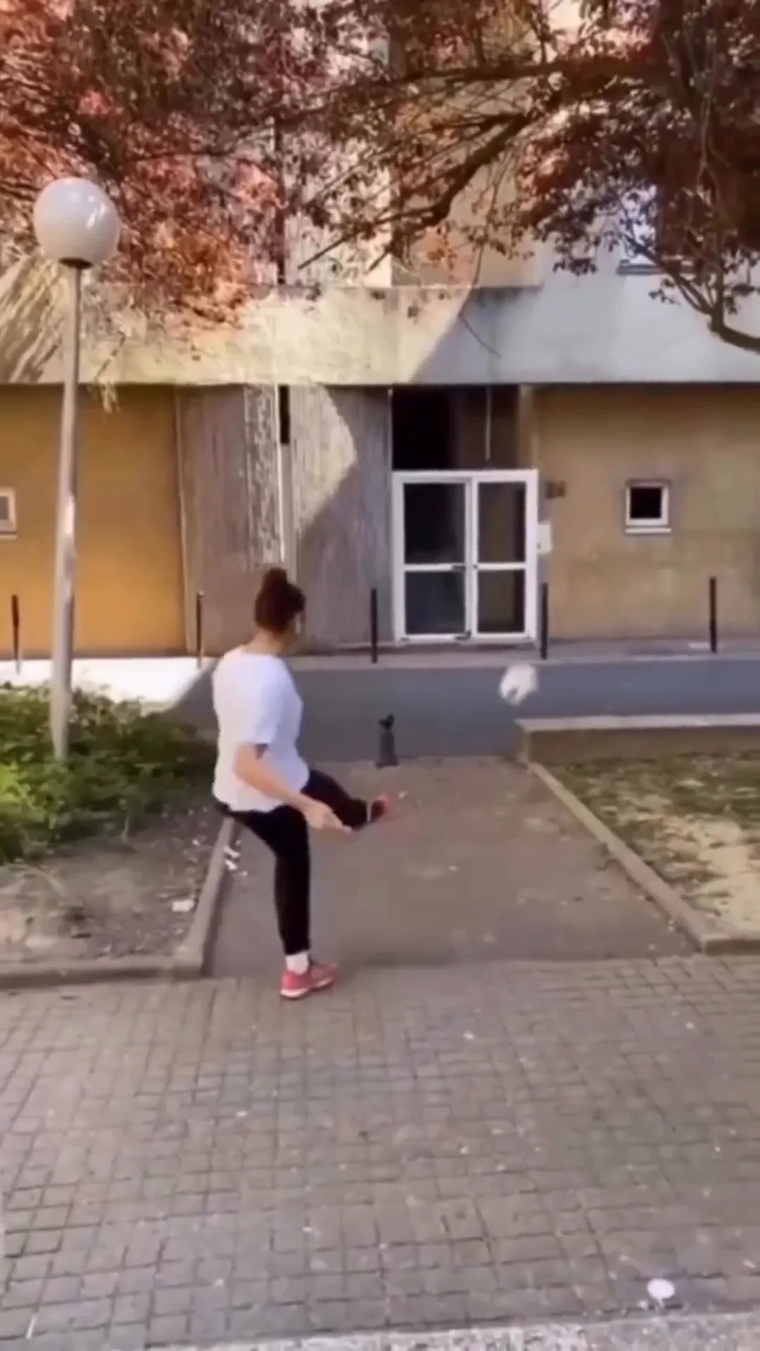 Soccer Ball Window Viral Video