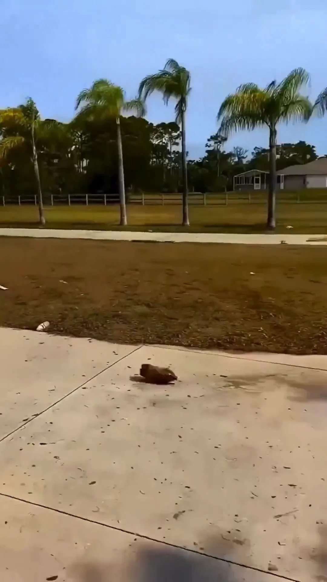 Soda Bottle Explosion Viral Video